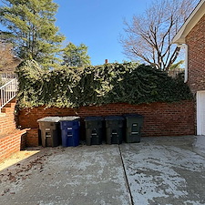 Revitalizing-this-landscape-with-detailed-shrub-pruning-in-Winston-Salem-NC 2